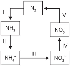 Imagem 1 do enunciado — Química ENEM 2014