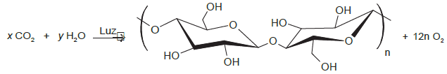 Imagem 1 do enunciado — Química ENEM 2021