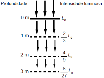 Imagem 1 do enunciado — Matemática ENEM 2023